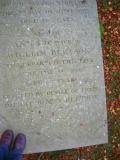 image of grave number 51118